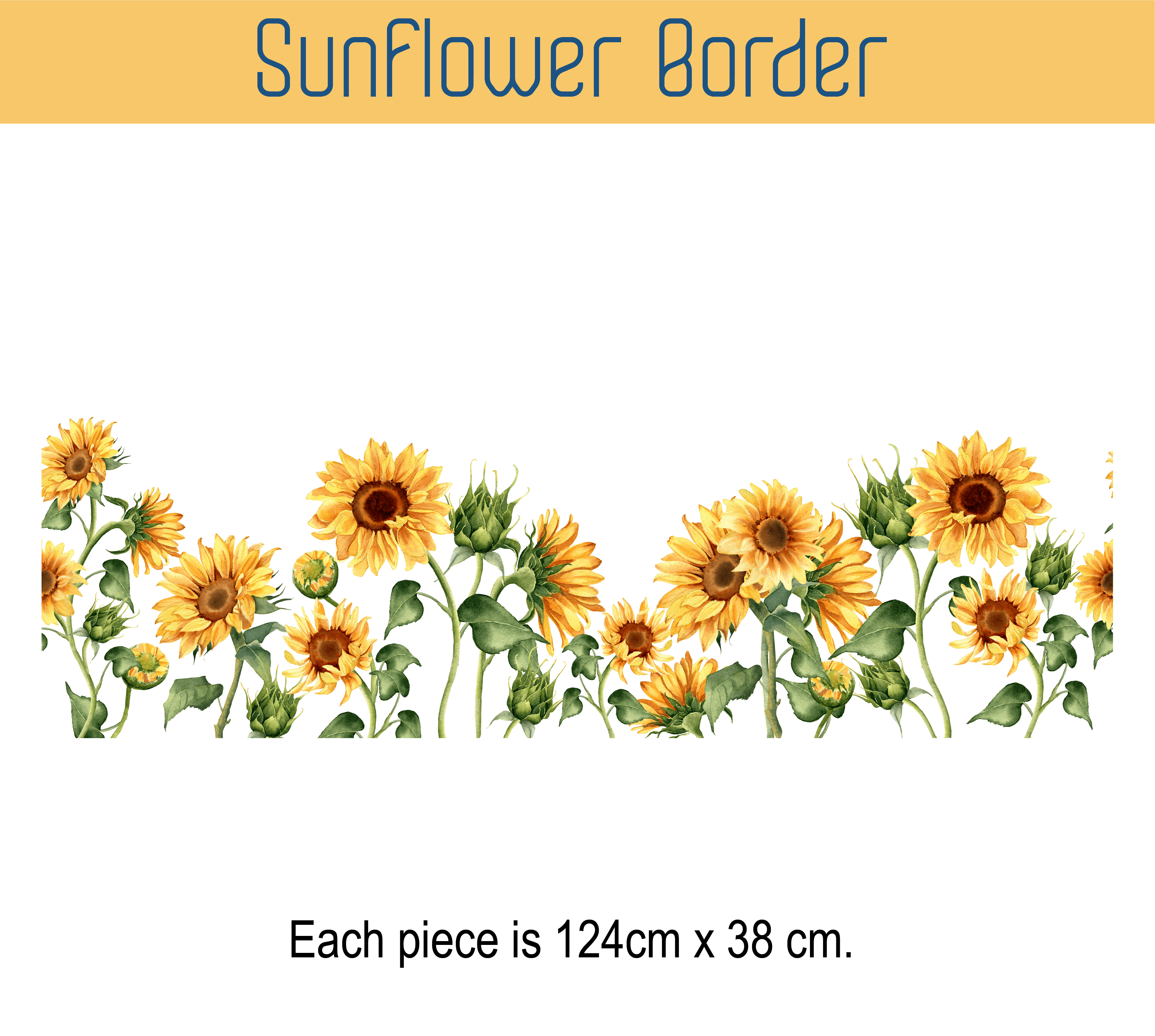 Sunflowerborderinfo png v 1682754057