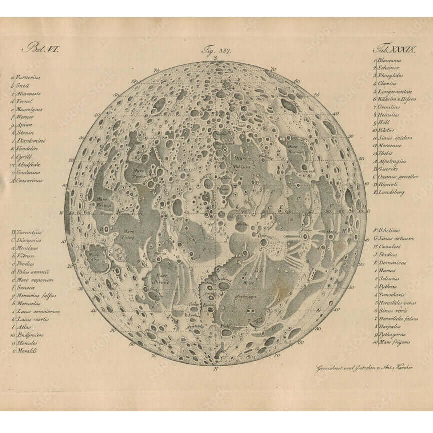 This Vintage Moon Map Wall Mural would look amazing as a large sticker or make a impact with a feature wall.