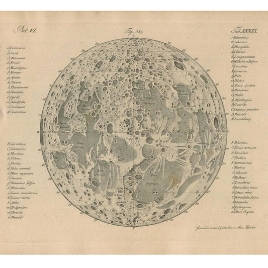 This Vintage Moon Map Wall Mural would look amazing as a large sticker or make a impact with a feature wall.  