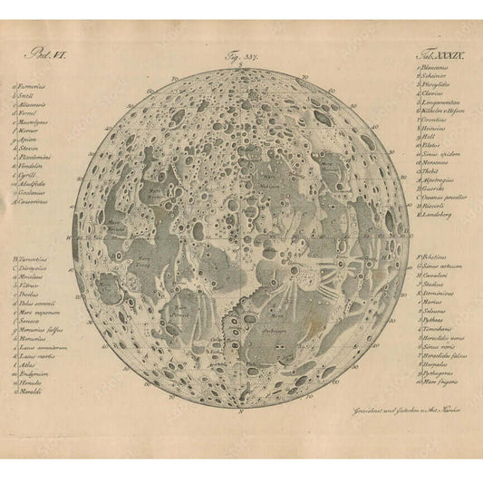 This Vintage Moon Map Wall Mural would look amazing as a large sticker or make a impact with a feature wall.